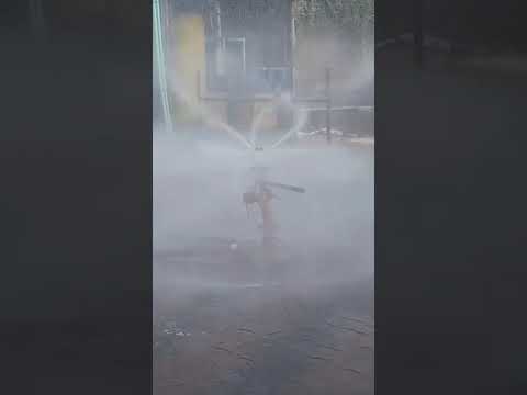 Testing of Revolving Branch