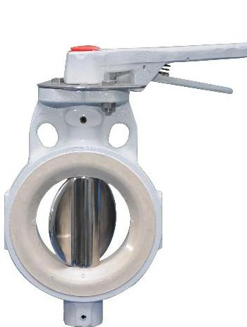 CI 80mm Butterfly Valve PN16 - AUDCO