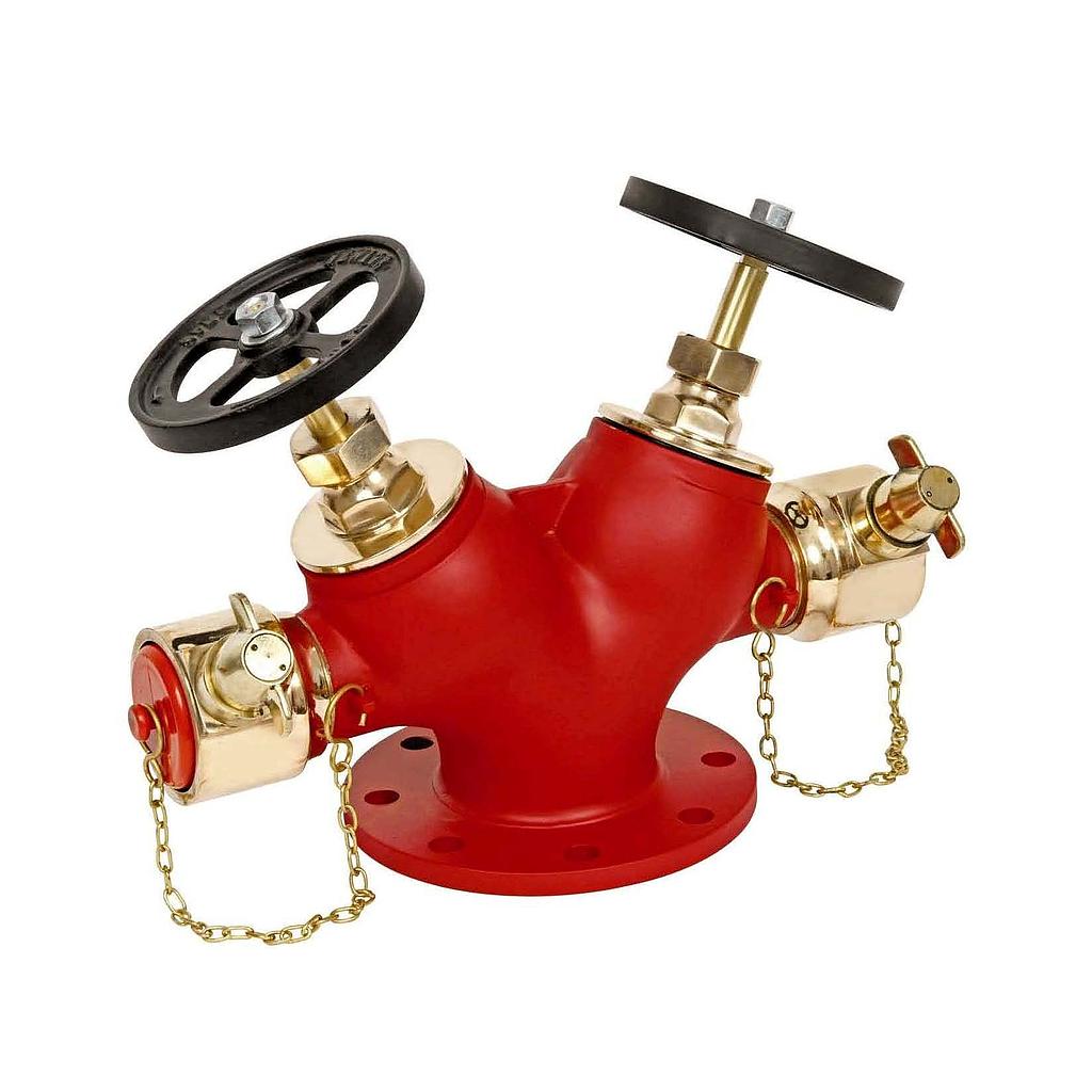 GM 63mm Double Hydrant Valve ISI (PVC Blank Cap, With Packing)