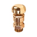 GM 25mm Air Release Valve (M) (Normal Room Temperature, Inlet Size: 25mm (1"), without Locking Arrangement)