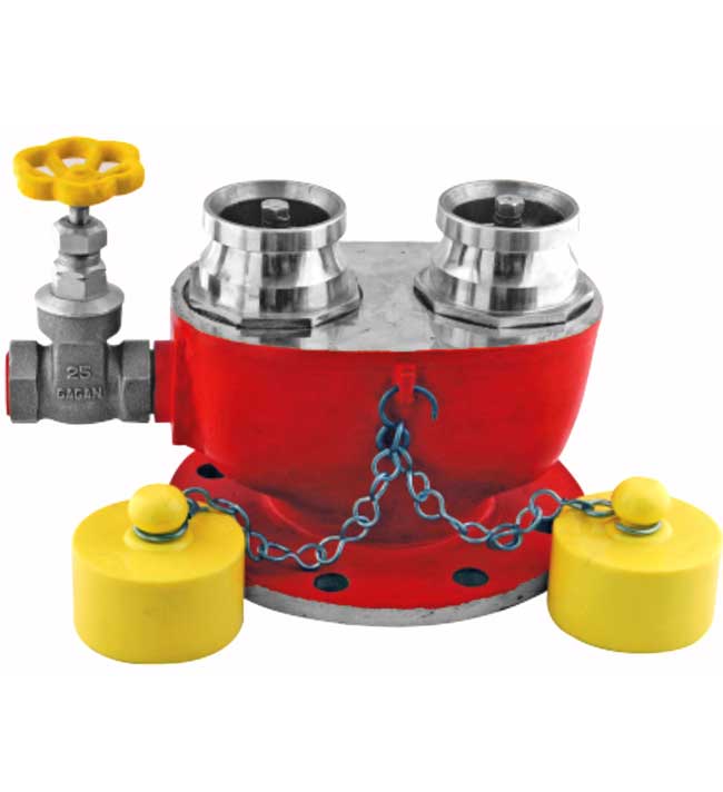 SS 100mm 2 Way Fire Brigade Inlet Valve