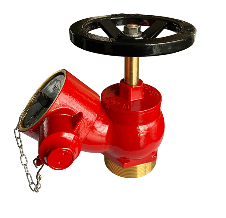 BR 63mm Hydrant Valve Oblique Type 63mm MBSP Inlet x 63mm FI with PVC Cap (63mm Female Inst. Adaptor , Cast Iron, Male Blank Cap - PVC)