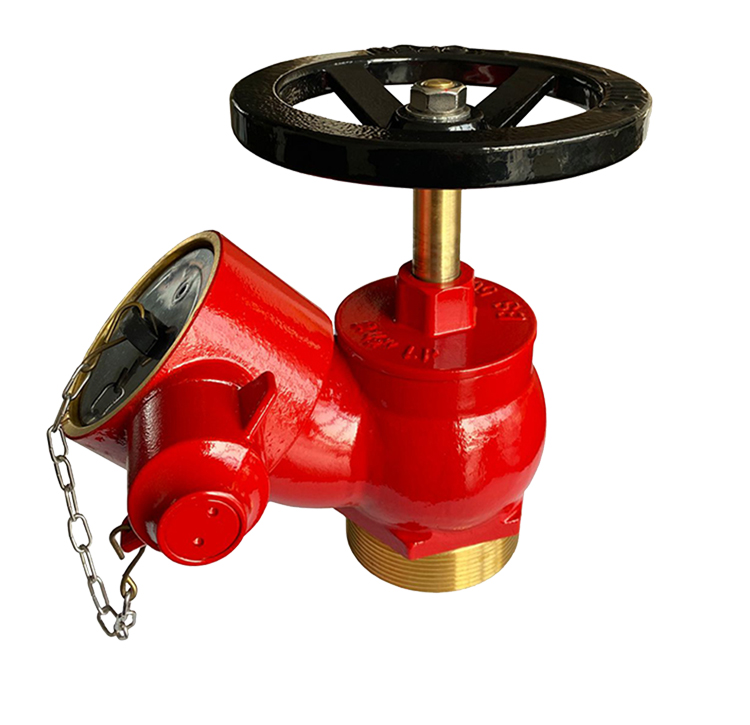 BR 63mm Hydrant Valve Oblique Type 63mm MBSP Inlet x 63mm FI with PVC Cap