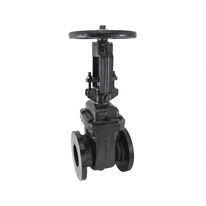 CI Sluice Valve PN-16 - Rising - Zoloto Make (50mm)