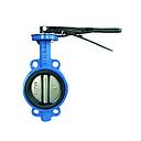 CI Butterfly Valve PN10 - KARTAR Make (50mm)