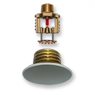 BR 57D Concealed Sprinkler Standard Response - Tyco Make