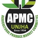 APMC Unjha